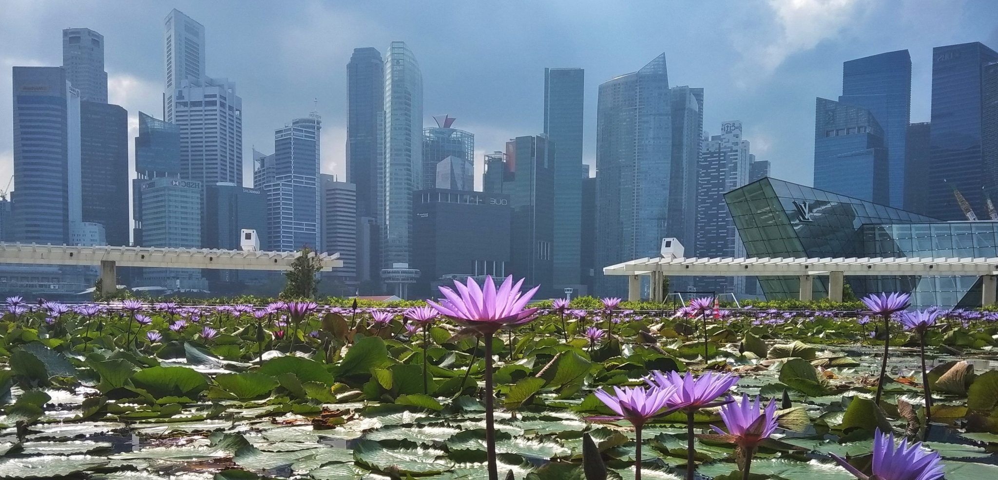 Qué ver en Singapur gratis